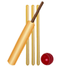 Cricket Games